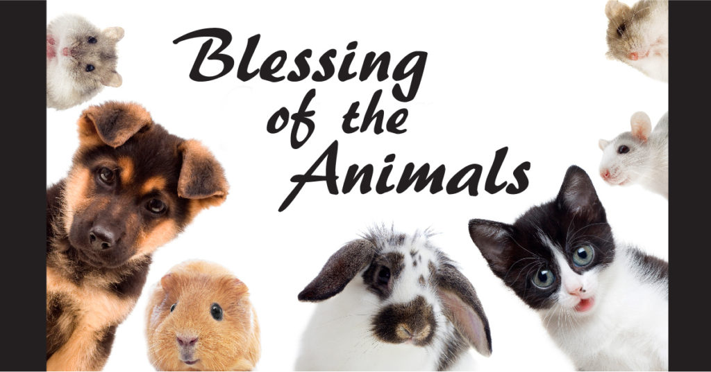 Blessing of the Animals Athelstone Uniting Church